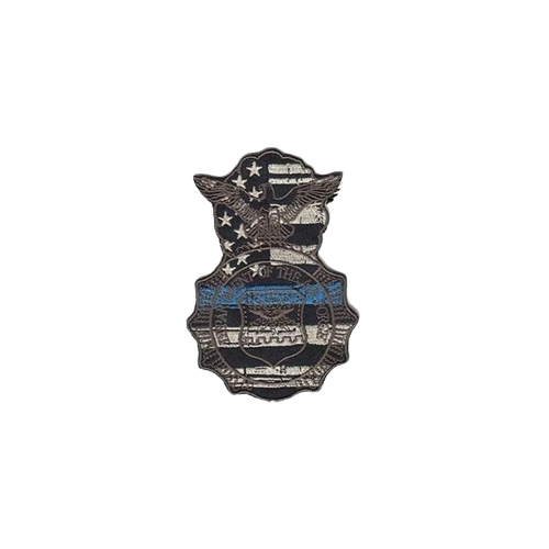 USAF Security Forces Badge