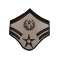 SrA Cheif of The Air Force