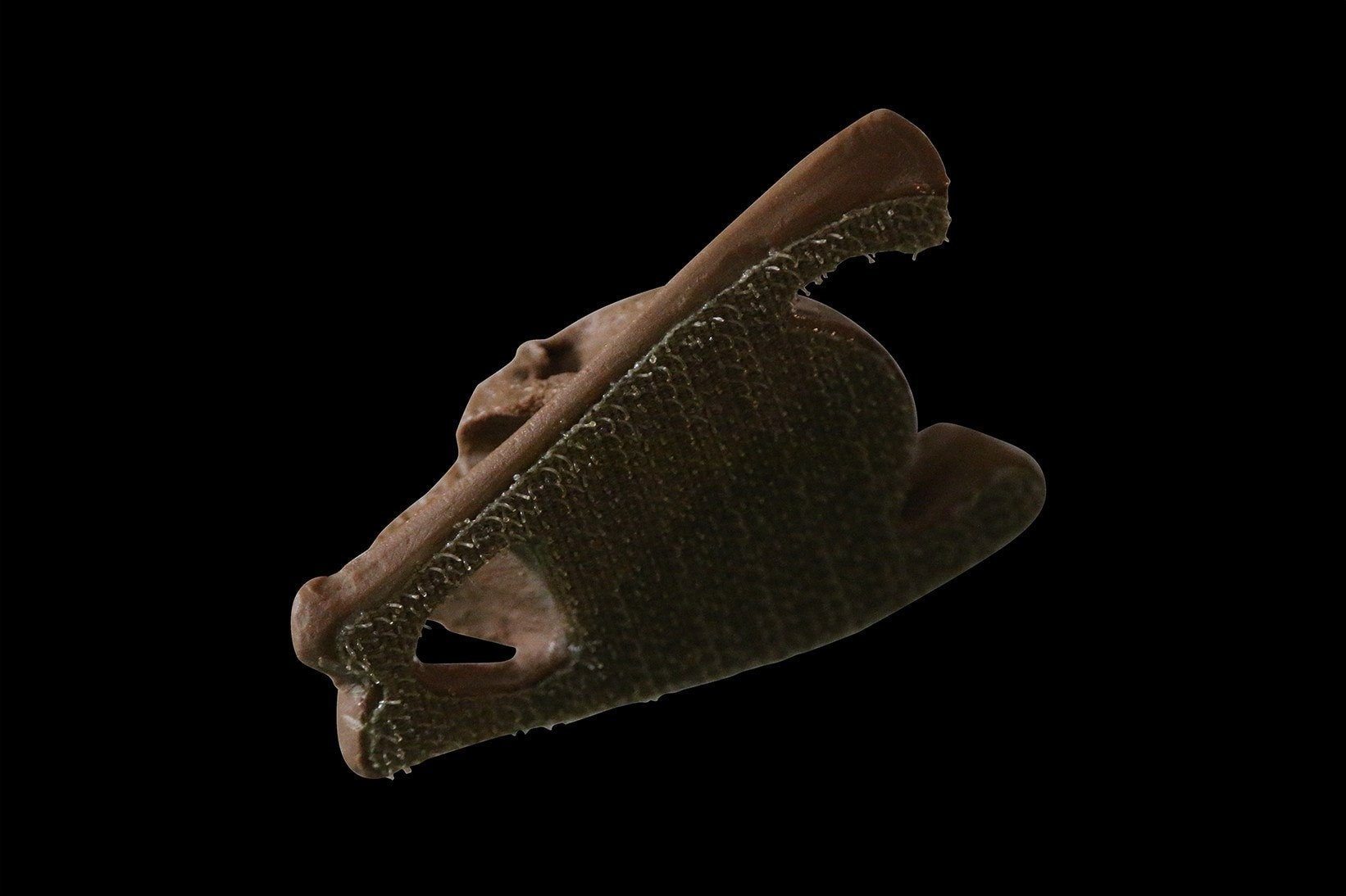 Bone Skull 3D Resin Morale Patch Morale Patch® Armory 